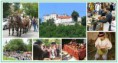 /album/fotogaleria/a230-1-jpg/